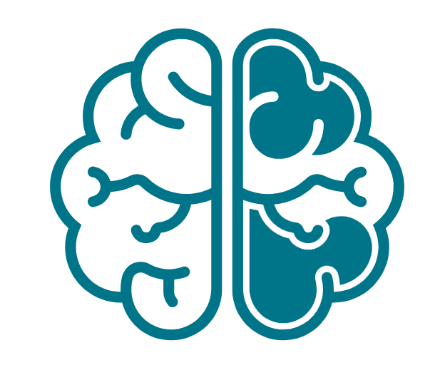 A stylised icon of a brain in green with some sections coloured in, representing what is executive function